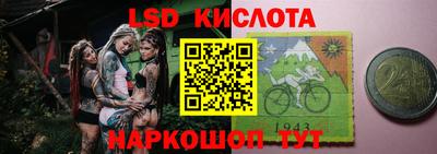 винт Сланцы