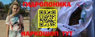винт Сланцы