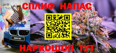 винт Сланцы