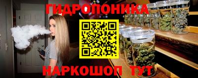 винт Сланцы