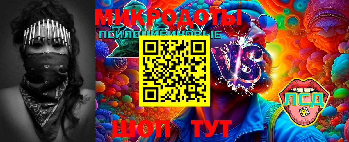 Новотроицк  Галлюциногенные грибы прущие грибы  Вход с VPN  Галлюциногенные грибы прущие грибы 