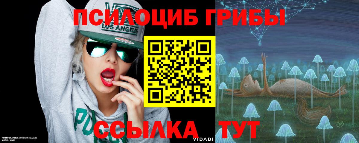 Псилоцибиновые грибы ЛСД Новотроицк